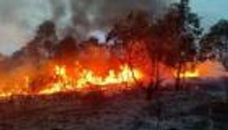 تركيا تعتقل 21 شخصا على خلفية حرائق الغابات