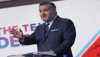 السيناتور تيد كروز 