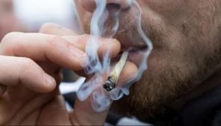 تعاطي الماريجوانا 