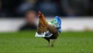 دجاجة بالملعب.. قصة أغرب احتجاج في الدوري الإنجليزي (فيديو)