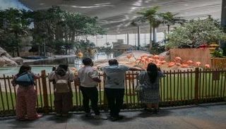 مدينة «سي وورلد أبوظبي»