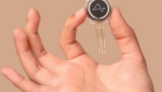 الشريحة المعروفة باسم "N1"