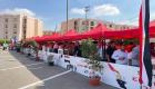 انتخابات «الشيوخ» في مصر.. الإقبال المتزايد أبرز ملامح اليوم الأول