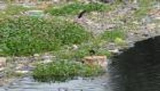 إنتاج البلاستيك يقفز 200 ضعف منذ 1950.. تهديد وجودي