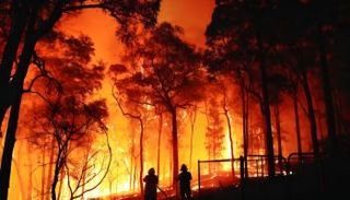 خسائر الكوارث الطبيعية