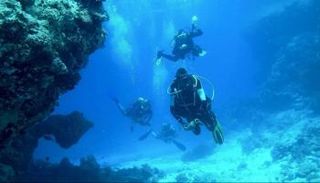 الغوص- أرشيفية