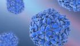 تحذير وزاري.. فيروس يهاجم الجهاز العصبي يتفشّى بين أطفال إسرائيل