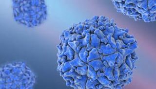 فيروس شلل الأطفال