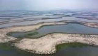 حول بحيرة تشاد طريقان للعيش.. شبكات الإرهاب أو مناجم الذهب