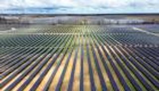 ترامب يعطّل الطاقة الخضراء.. إلغاء 23 مليار دولار من المنح وإفلاس شركات كبرى