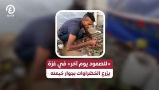 مأساة إنسانية في غزة 