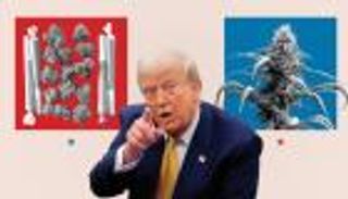 ترامب يدرس سرا خفض تصنيف الماريغوانا كمخدر خطير
