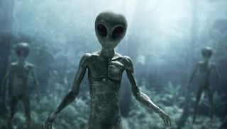 4 أنواع من الكائنات الفضائية تثير جدلا حول الظواهر الغامضة