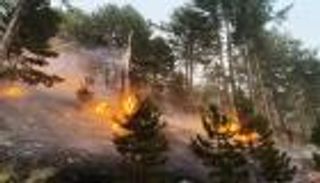 للحد من حرائق الغابات.. تركيا تعتمد سياسة القطع المتعمد للكهرباء