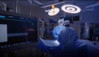 اليوم العالمي للتبرع بالأعضاء