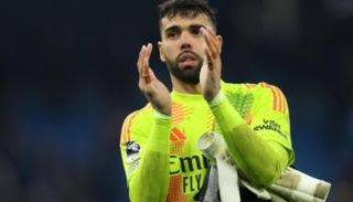 ديفيد رايا