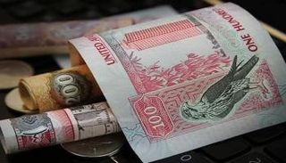 الدرهم الإماراتي