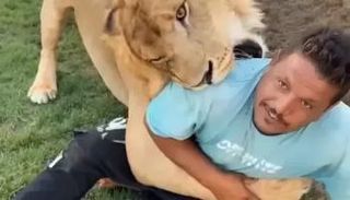 واقعة الأسد في مزرعة في ليبيا