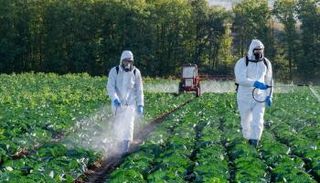 "الكلورفينابير" يحمي المحاصيل، لكنه في الحقيقة يفتك بالبشر والبيئة 