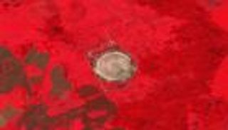 على عتبات الناتو.. منشأة روسية جديدة تثير مخاوف الغرب