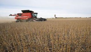 حصاد فول الصويا من حقل في مزرعة أمريكية (رويترز)