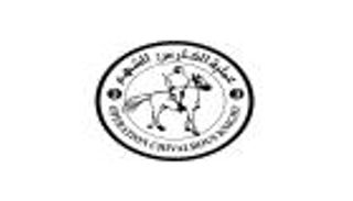 بدء تحميل سفينة حمدان الإنسانية لدعم غزة ضمن «الفارس الشهم 3»