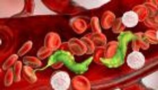 وداعا لمرض شاغاس القاتل.. أجسام مضادة تبشر بلقاح واعد