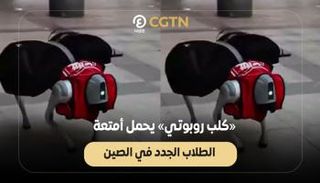 كلب روبوتي في الصين