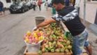 «الهندي» يتربع على أرصفة العاصمة التونسية رغم تهديدات الحشرة القرمزية (خاص)