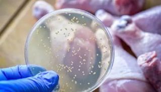 علاج مبتكر يقتل البكتيريا المقاومة