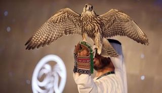 معرض أبوظبي للصيد والفروسية