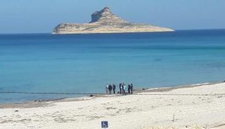 رفراف التونسية