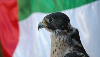 معرض أبوظبي الدولي للصيد والفروسية