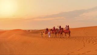 سياحة البر في الإمارات