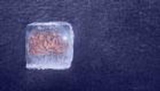 علماء صينيون يطورون خلايا اصطناعية تحاكي الدماغ البشري