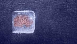 علماء صينيون يطورون خلايا اصطناعية تحاكي الدماغ البشري
