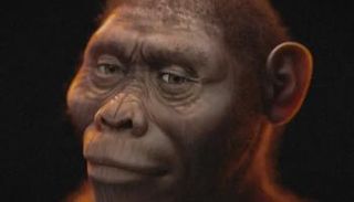 "لوسي" تعود للحياة افتراضيا