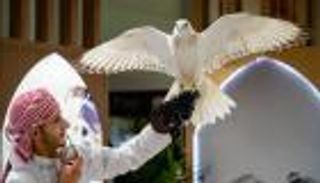 معرض أبوظبي الدولي للصيد والفروسية 2025 يقدّم عطلة نهاية أسبوع استثنائية