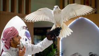 معرض أبوظبي الدولي للصيد والفروسية 2025