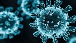 تفشي كورونا في أمريكا