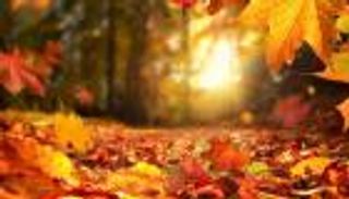 «الصفرية».. إقبال الشتاء وإدبار الحر في الإمارات