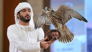 أحد مزادات الصقور في معرض أبوظبي للصيد والفروسية 2025