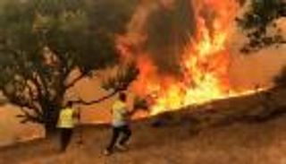 السيطرة على 10 حرائق غابات في الجزائر خلال 24 ساعة