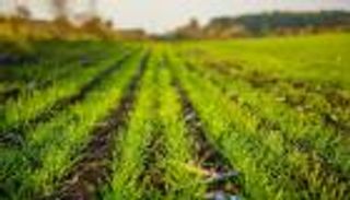 تحدي «المياه من أجل الزراعة».. «مبادرة محمد بن زايد للماء» تعلن أسماء الفِرق المتأهلة للمرحلة التالية