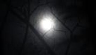 مشهد نادر.. قمر الحصاد العملاق يضيء السماء مطلع أكتوبر