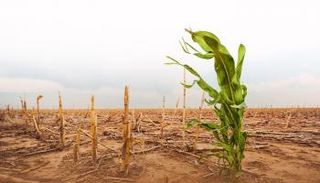 تداعيات الطقس المتطرف