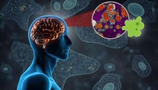 مرض «الأميبا آكلة الدماغ» ينتشر في الهند