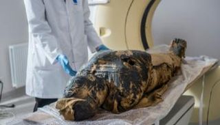 التحنيط المصري القديم حافظ على الجسد بكامل هيئته 