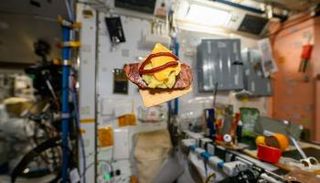 "سوشي الفضاء"  أثار موجة من السخرية على السوشيال ميديا 