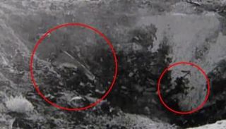 مصادر تزعم أن المقطع من الفيديو يظهر جسما فضائيا